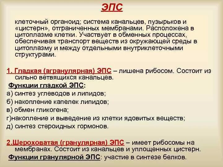 Эпс участвует в синтезе белка. Какие органоиды участвуют в процессе биосинтеза белка?. Органоиды клетки принимающие участие в синтезе белка. Органоид участвующий в биосинтезе белка. Органоид участвующий в синтезе белка.