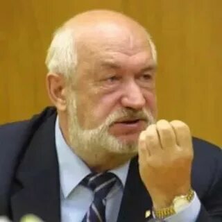 Платов губернатор