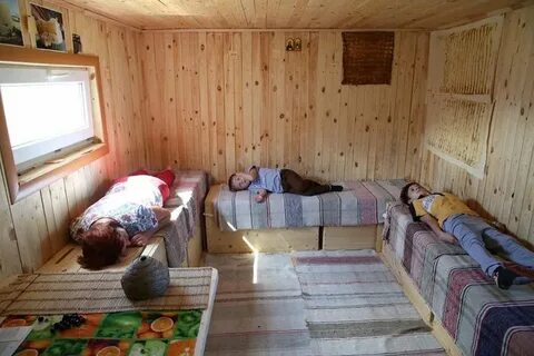 Сон на пчелах