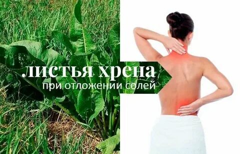 Хрен от боли
