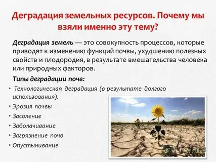 Пути решения проблем земельных ресурсов
