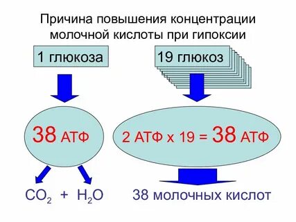 Почему 38
