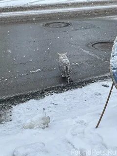 Убегу заберу