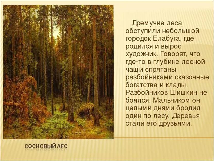 Текст про чащу. Описание леса. Текст про чащу. Маленький стих про лес. Презентация на тему лес.