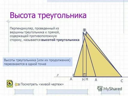 Сколько высот можно провести