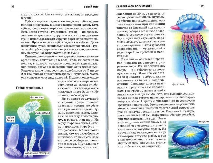 Организмы в соленой воде. Махлин м.д. жизнь в соленой воде:школьный путеводитель. Жизнь в соленой воде школьный путеводитель. Жизнь в соленой воде книга. Физалия строение.