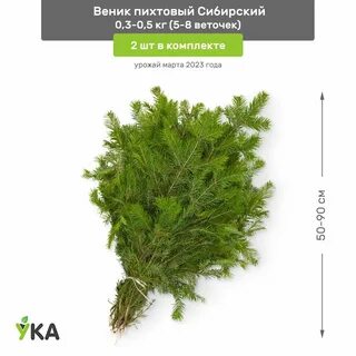 Пихтовый веник польза
