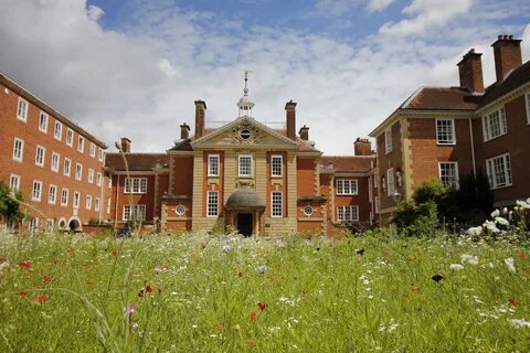 A view of Talbot Hall and wildflower meadow in the quad at LMH.