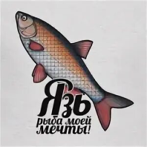 Ленинград рыба текст. Рыба моей мечты. Рыба моей мечты афиша. Рыба моей мечты Мем. Рыбка моя.
