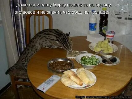 Надоело говорю