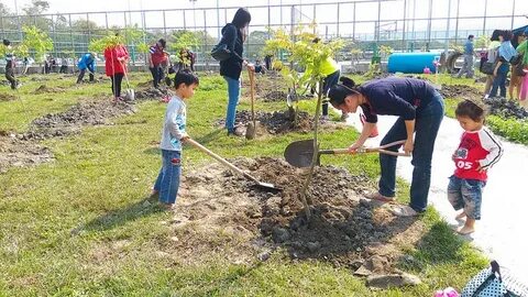 Looking after the environment