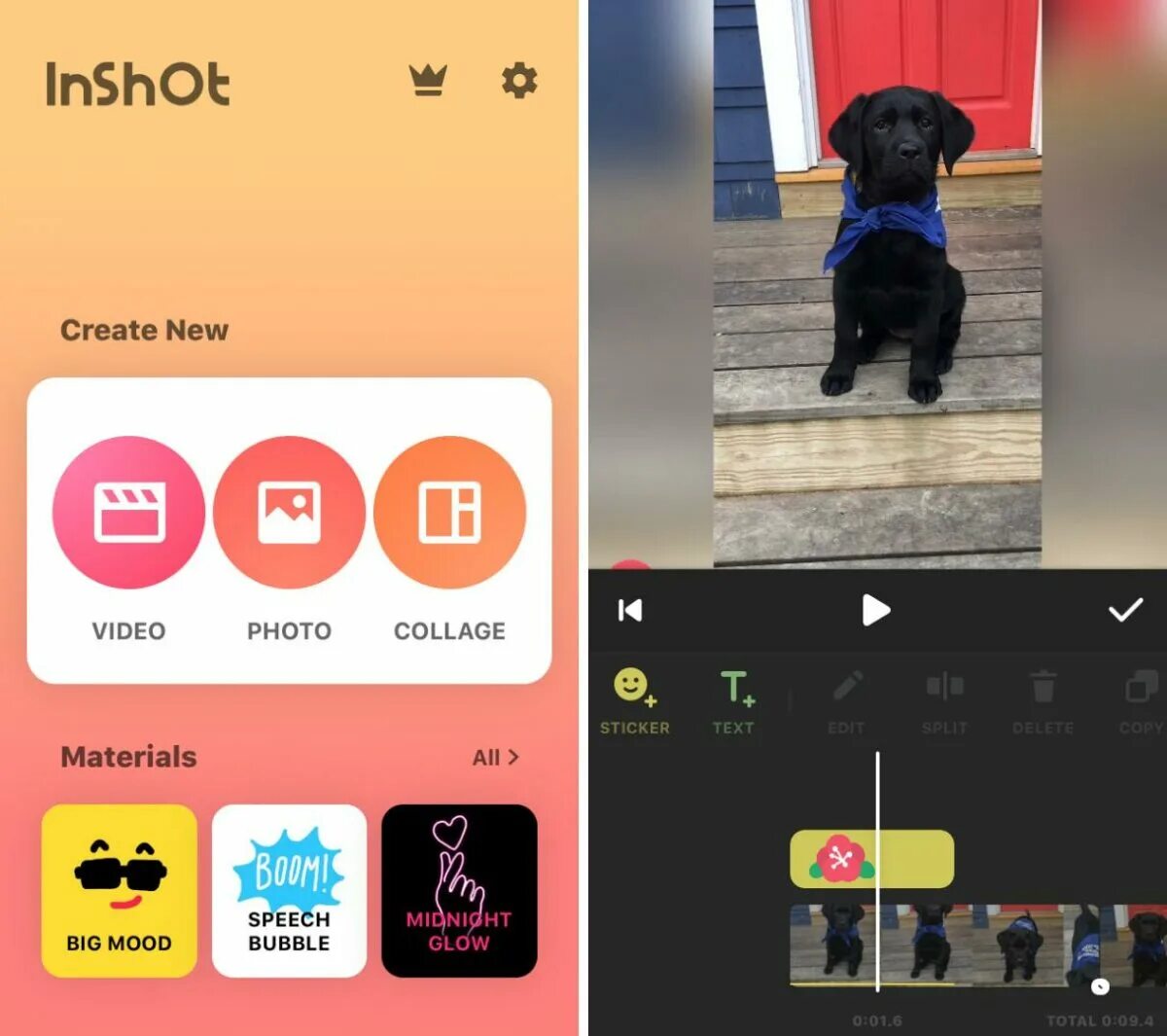 Приложение video store. Программа иншот. inshot приложение. иконка приложения inshot. inshot скриншот.