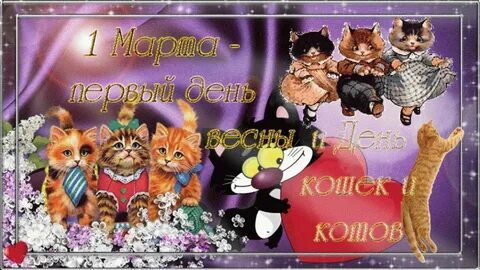 День кошек гифки