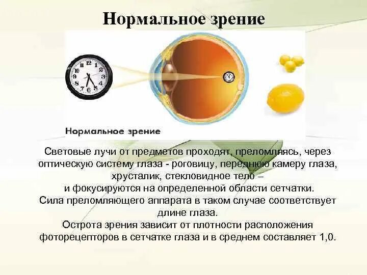 Какое зрение у человека с 1. Нормальное зрение. Какое нормальное зрение. Нормальное зрение у человека. Нормальное зрение глаз.