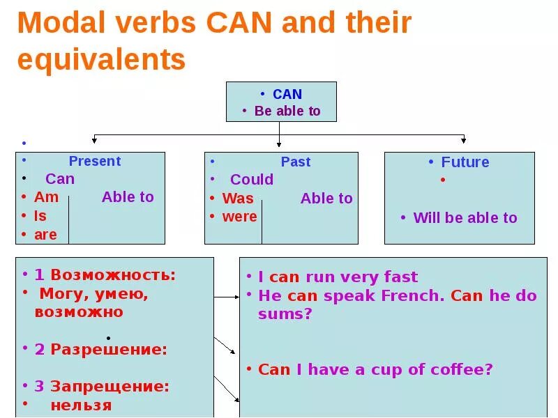 Order to be able to. Модальный глагол can. Построение вопроса с can. Глагол can could. Modal verb can правило.