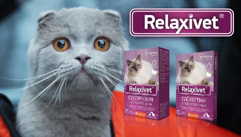 Relaxivet для кошек таблетки. Релаксивет суспензия для кошек. Капли успокоительные для кошек Relaxivet на холку. Relaxivet для кошек суспензия. Успокоительные релаксивет