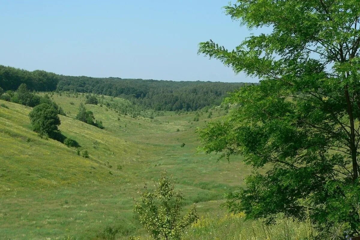 Разрушенный деревянный дом. Погода бушмено. Погода бушмено. Погода бушмено. Погода бушмено.