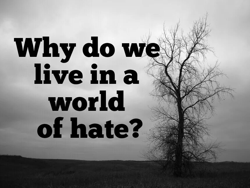 This is the world we live in. I hate this world. обои i hate this world. hate world картинки. this world.