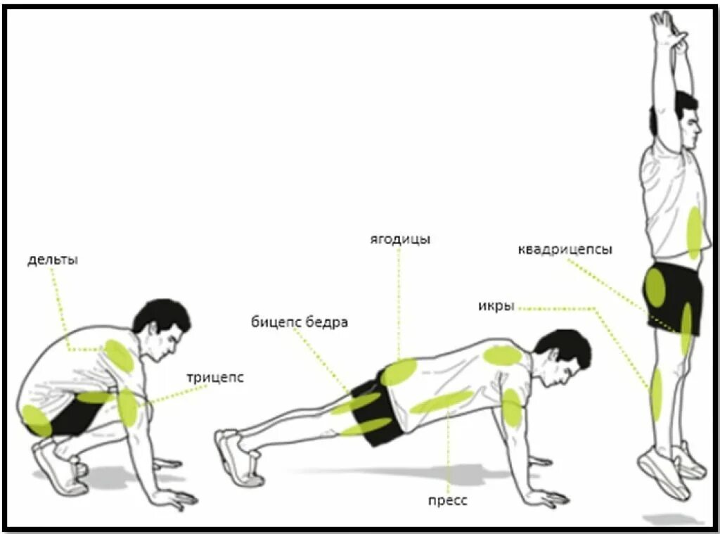 Упражнение пружинка. Бёрпи мышцы. Бурпи упражнение. Упражнения отжимания. Берпи упражнения.