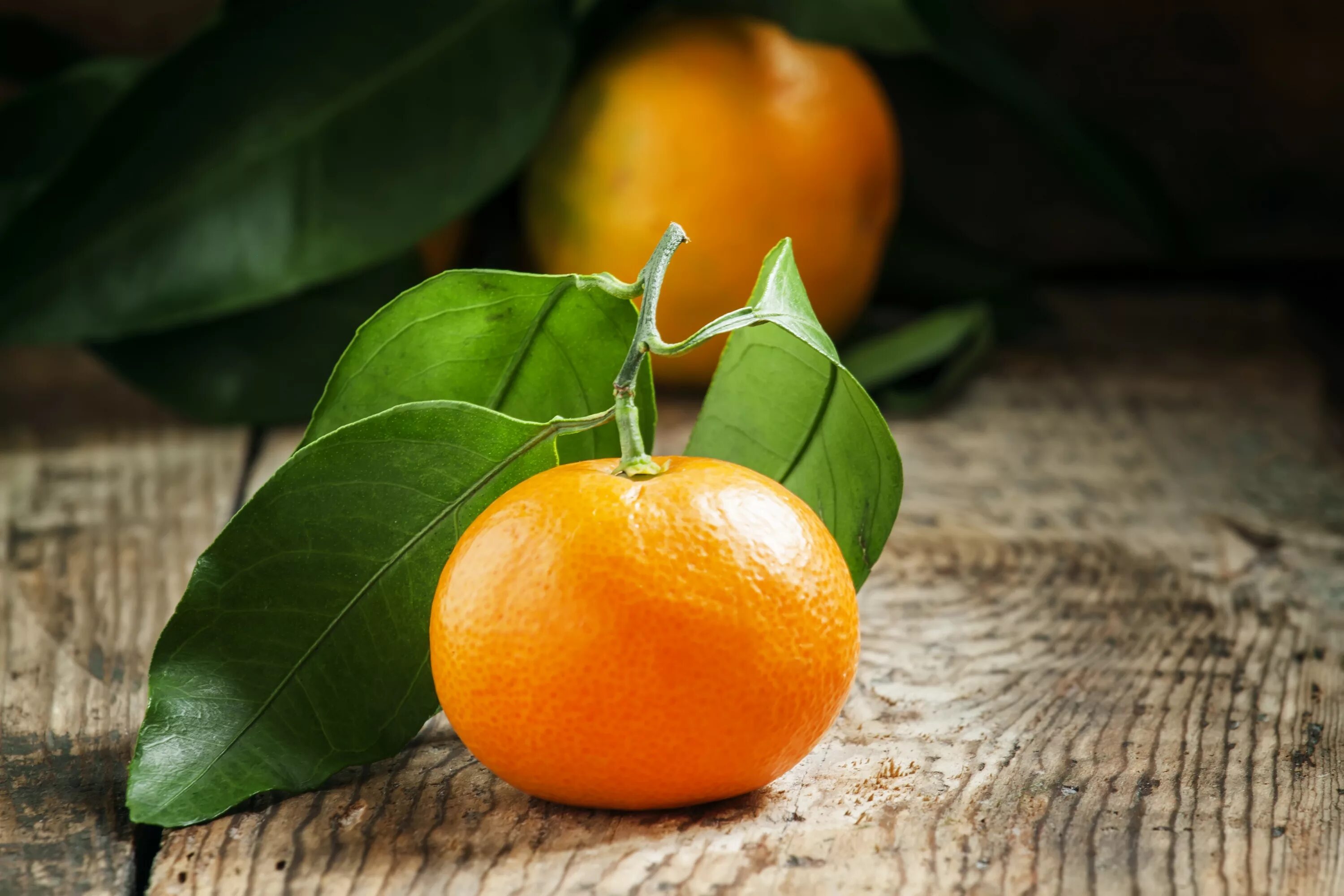 Обои апельсин. Вкусный апельсин. Мандарин померанец. Мякоть мандарина. Апельсин примета.