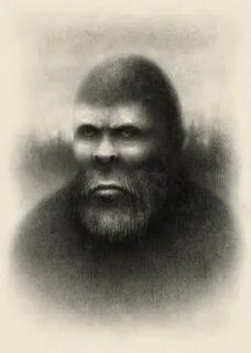 Заны