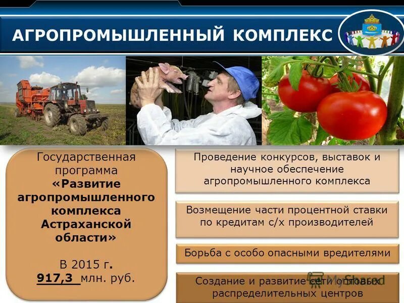 программа агропромышленный комплекс. отраслевая структура агропромышленного комплекса. информационное обеспечение агропромышленного комплекса. программа агропромышленный комплекс. агропромышленный комплекс россии.