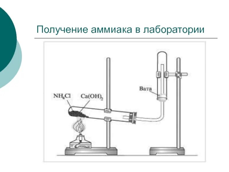 Прибор для получения аммиака в лаборатории. Прибор для получения газа аммиака. Прибор для лабораторного получения аммиака. Прибор для получения аммиака рисунок. Лабораторный способ получения аммиака.