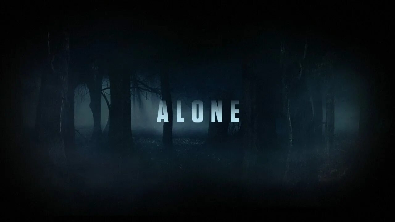 Шоу в изоляции. В изоляции  alone. алон изоляция. шоу 2 в изоляции. no alone tv.