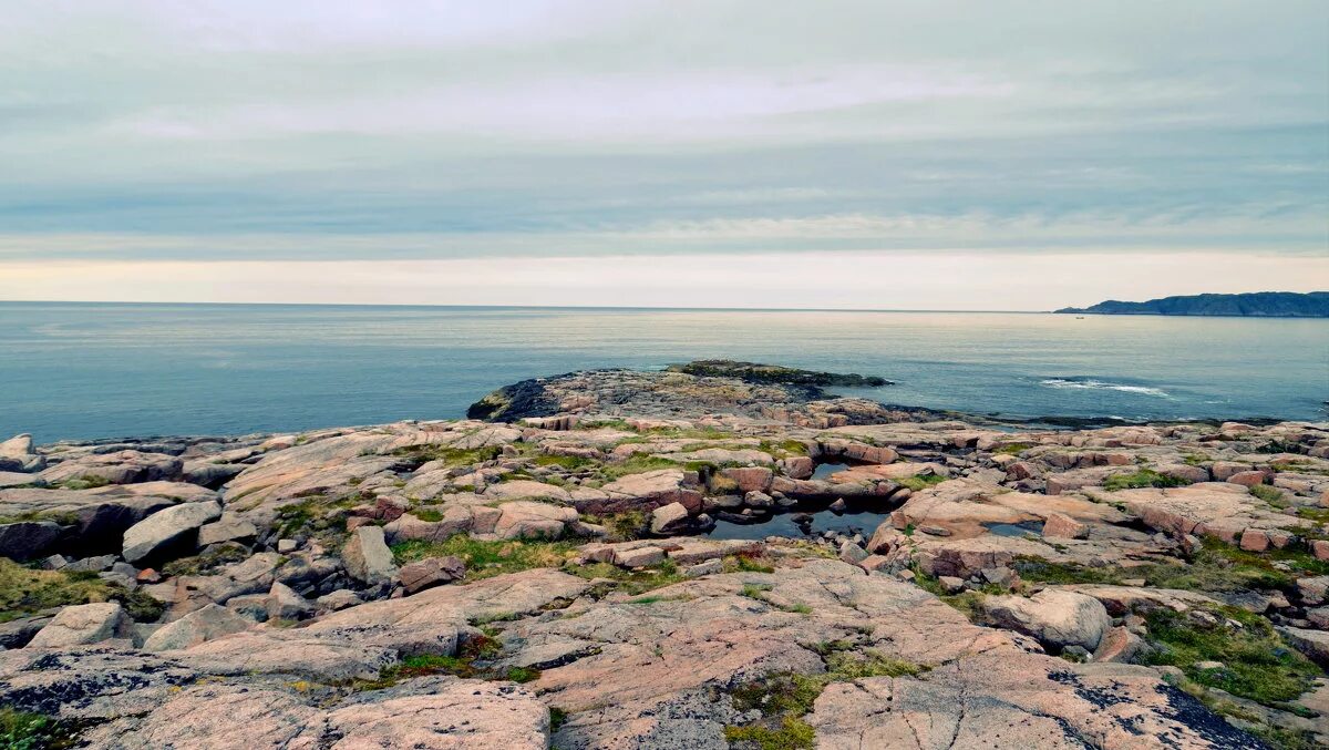арктика северо ледовитого океана. средняя глубина баренцева моря. айсберги баренцева моря. соленость баренцева моря. климат баренцева моря.
