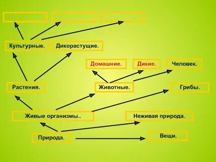 Тест 2 класс дикорастущие и культурные растения