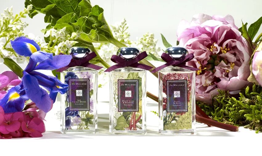 Благоухание ароматов. Коллекция Джо Малон. Jo Malone White Lilac & Rhubarb. Джо Малон Блум. Джо Малон фиолетовый.