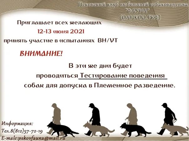 Тестирование собак для допуска в племенное. Тестирование поведения собак ркф. тестирование поведения собак для допуска в племенное разведение. тестирование собак для племенного разведения. тестирование поведения т1.