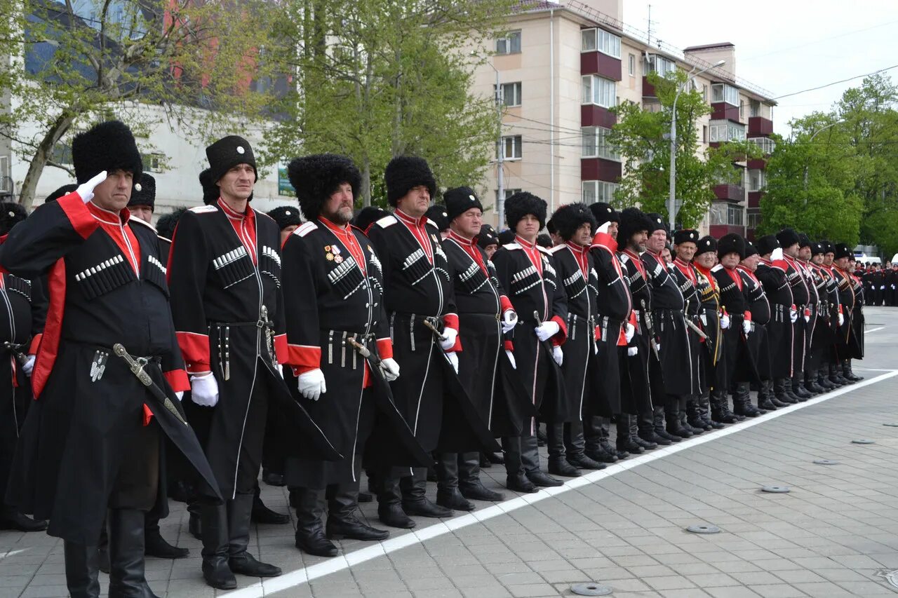 Казаки общество казачье. Терское казачье войско ставрополь. Терское войсковое казачье общество. Казачье общество является. Казачье войско кубани.