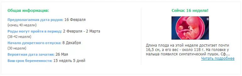 Срок беременности по последним месячным. Предполагаемая Дата родов. Роды по неделям беременности. Дата родов по неделям. Предполагаемая Дата зачатия.