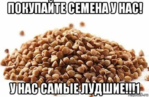 Отдашь ан