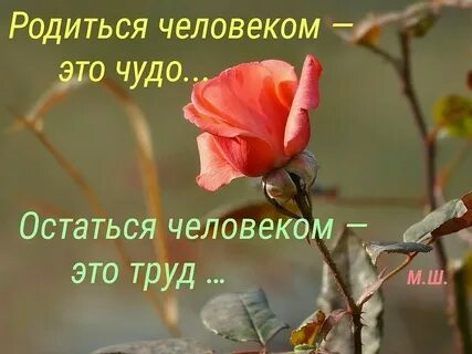 Добрым человек не рождается