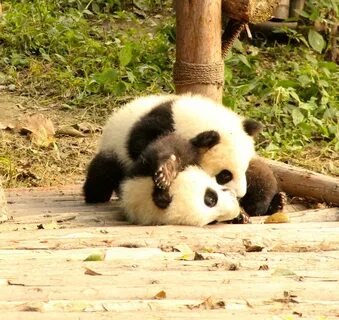 Pandas period