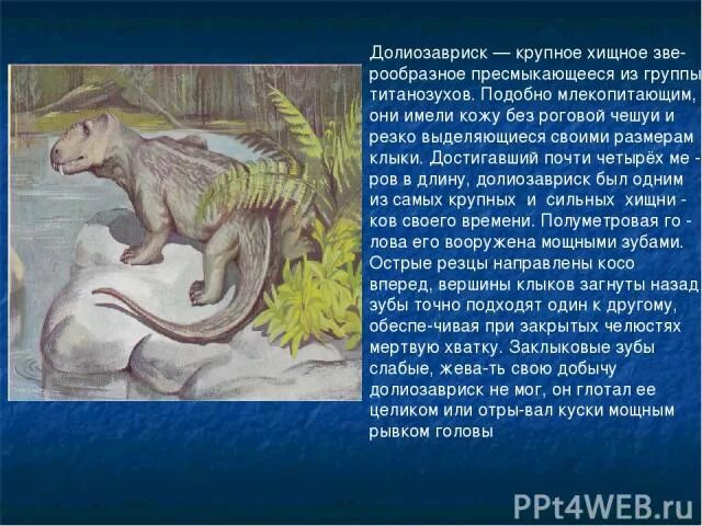 Сообщение о древнем животном. Информация о древних животных. сообщение о древних животных. доклад о древних животных. dytiybq dbl lhtdyb[ ;bdjnys[.