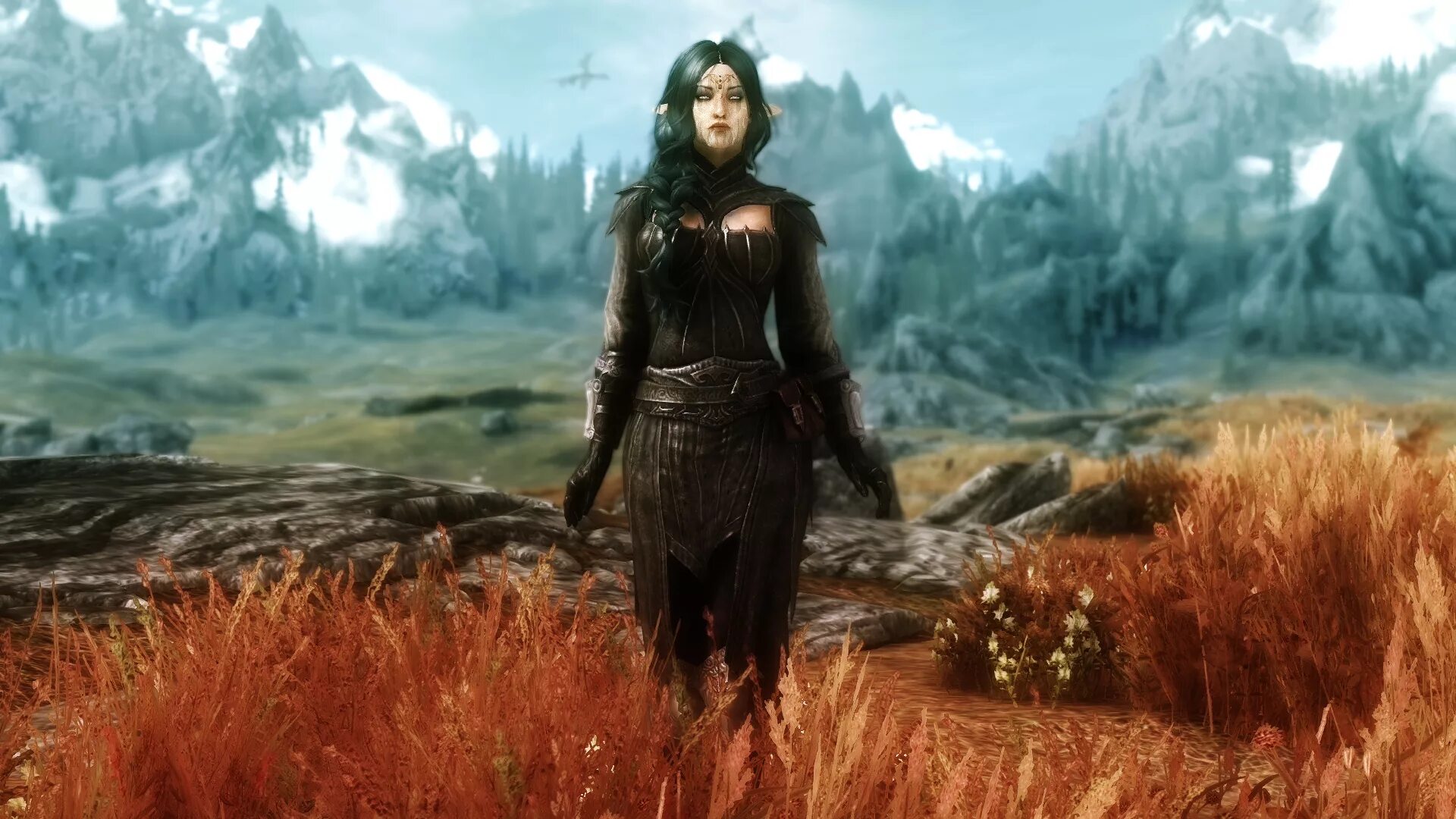 Skyrim net