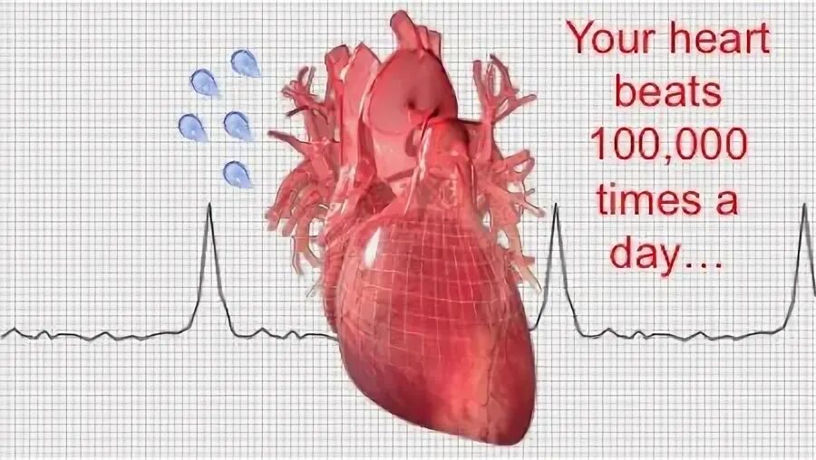 Heart time