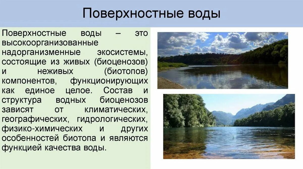 Природный водный орган