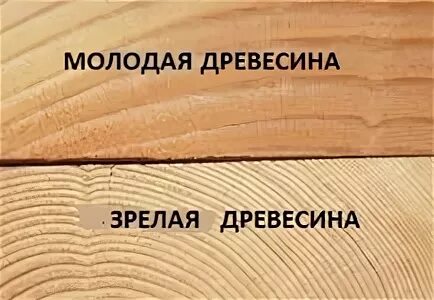 Доска 25 какой гвоздь. Каким гвоздем прибивать доску 50. Какими гвоздями прибивать доску 25. Каким гвоздь доска 50мм бить.