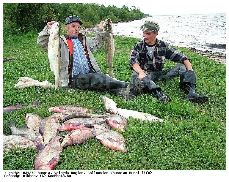 Рыбалка на озерах вологодской области. Рыбалка на белом озере Вологодская область. Киснема на белом озере. Белое озеро рыбалка. Рыбалка на белом озере Вологодская.