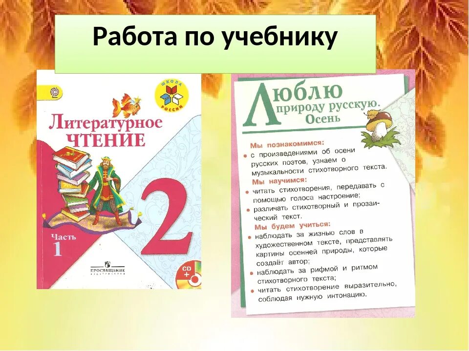 Чтение второй класс страница 69. Литературное чтение 2 класс школа России 1 часть. Школа России литературное чтение 2 класс разделы 2 часть. Литературное чтение 2 класс 2 школа России. Литература 2 класс первая часть.