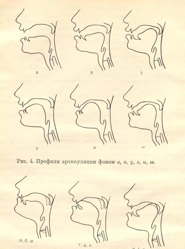 Профиль артикуляции. Профили артикуляции гласных звуков при ринолалии. Артикуляционный профиль звуков при ринолалии. Велярный ротацизм артикуляционный профиль звука. Профили свистящих звуков при ринолалии.