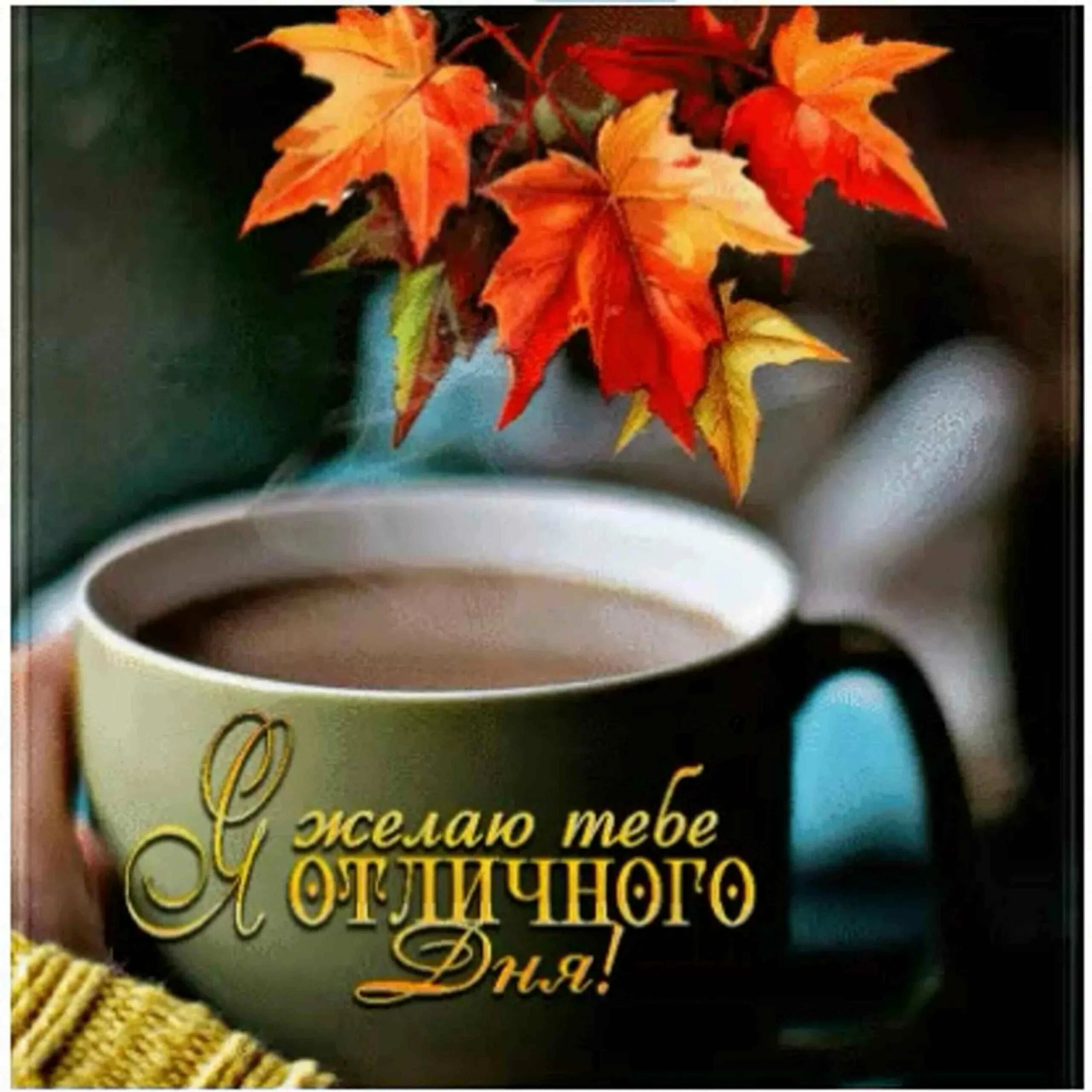 Доброго осеннего хорошего дня картинки. С добрым утром осенним с пожеланиями. Открытки с добрым утром осень. Осеннего утра и хорошего настроения. Пожелания доброго осеннего утра.