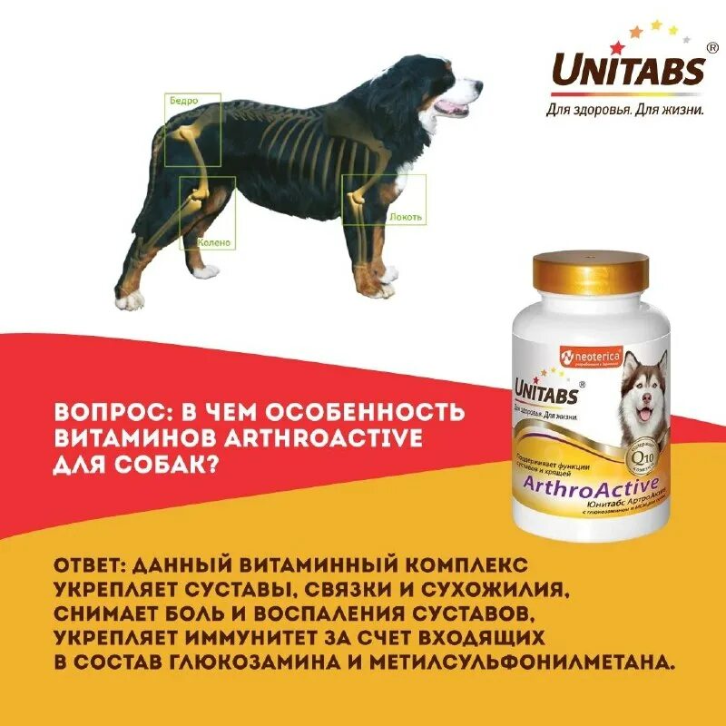 Какие витамины надо собаке