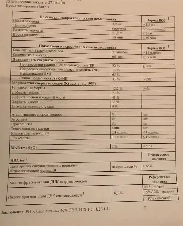Анализ фрагментации. Степень фрагментации днк в спермограмме норма расшифровка анализа. Спермограмма с днк фрагментацией. Днк фрагментация спермограмма норма. Расшифровка спермограммы инвитро.