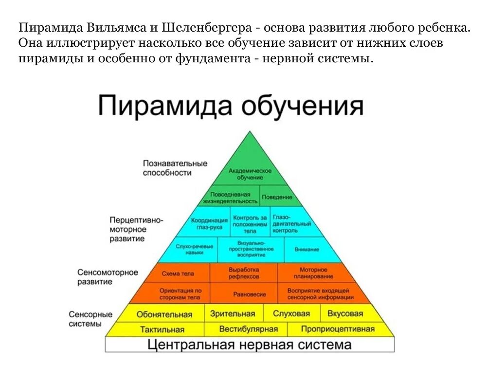 Наивысшая степень развития способностей это. Пирамида развития ребенка Вильямс и Шелленбергер. Пирамида Вильямса Шелленберга. Пирамида обучения Вильямс и Шелленбергер описание. Пирамида развития ЦНС.