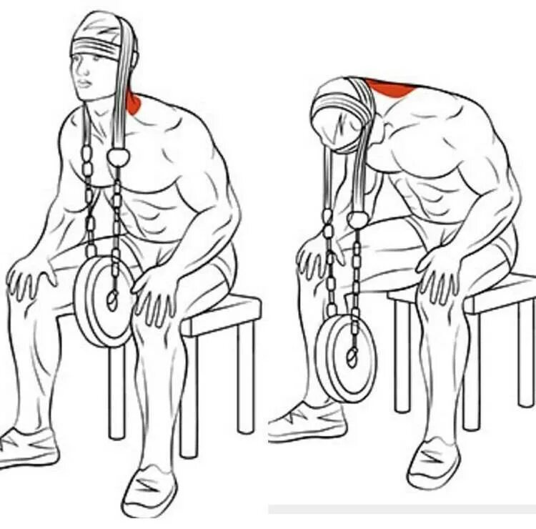 Шея гантелями. Упражнения для накачивания шейных мышц. Упражнения для накачки шеи. Упражнения для накачивания мышц шеи. Как прокачать мышцы шеи.